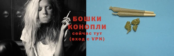 экстази Дмитриев