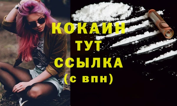 экстази Дмитриев